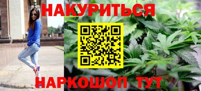 spice Бердск