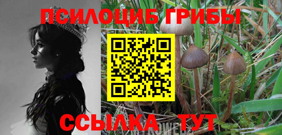 Галлюциногенные грибы Magic Shrooms Гулькевичи