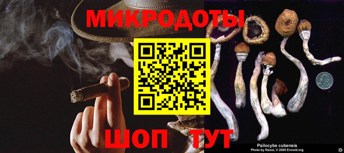 Гулькевичи  Псилоцибиновые грибы Psilocybe  дарнет шоп  Вход с VPN 