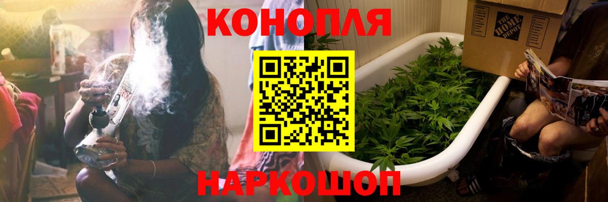 Бошки марихуана марихуана Гулькевичи